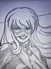 Il gatto nero di Phil Moy