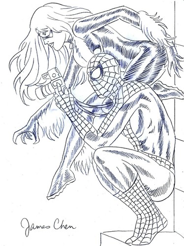 Black cat spider man schizzo - &,